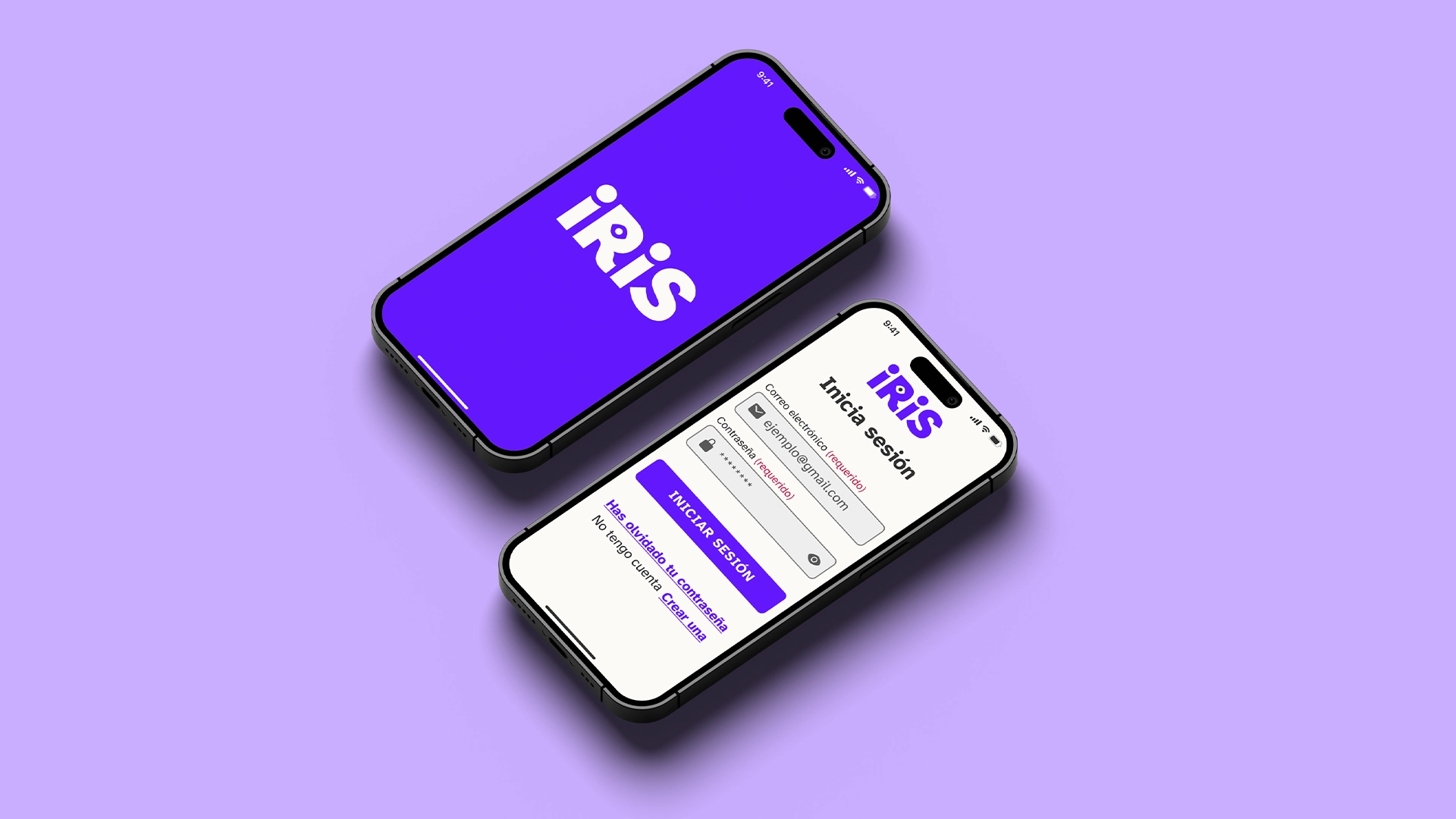 Iris project image 6